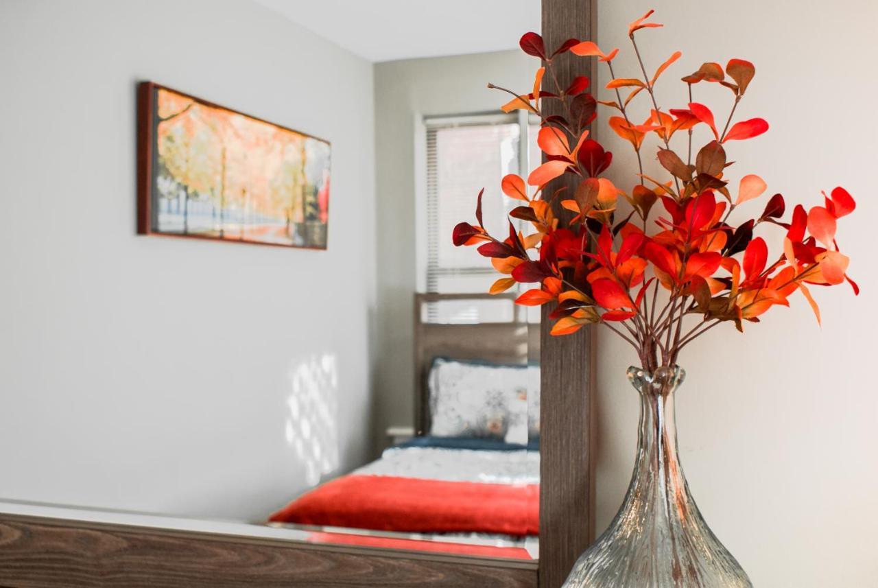 Lovely 2Br Apartment By Wooster Square- Great Neighborhood Нью-Хейвен Экстерьер фото