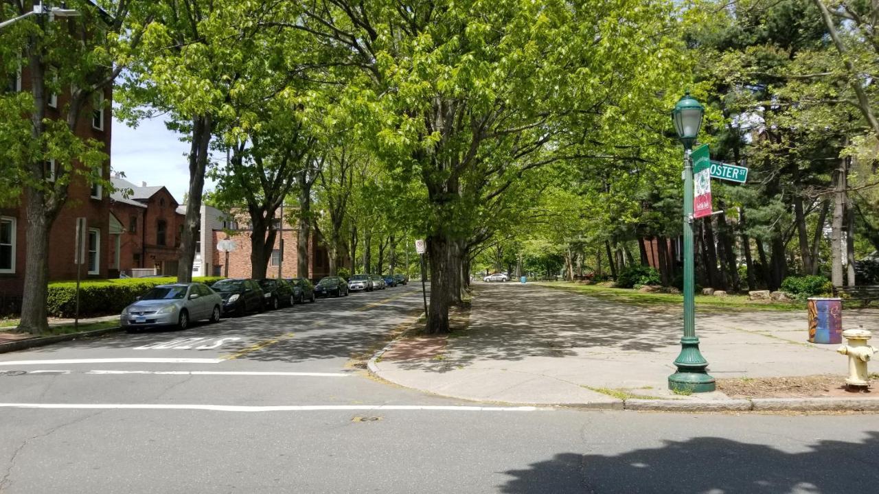 Lovely 2Br Apartment By Wooster Square- Great Neighborhood Нью-Хейвен Экстерьер фото